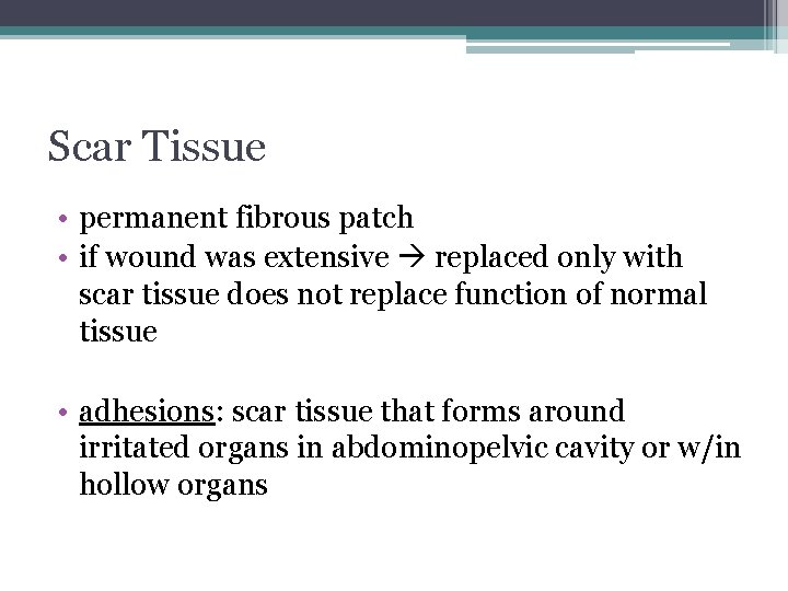 Scar Tissue • permanent fibrous patch • if wound was extensive replaced only with