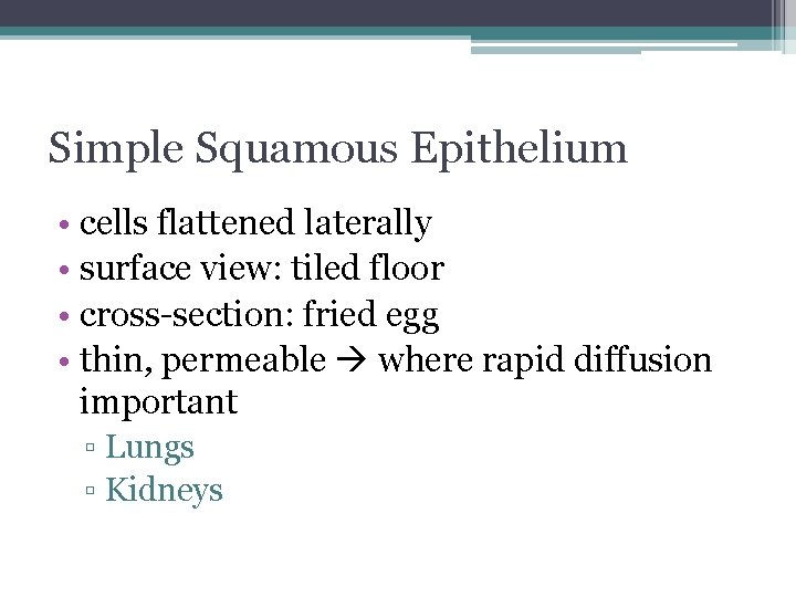 Simple Squamous Epithelium • cells flattened laterally • surface view: tiled floor • cross-section: