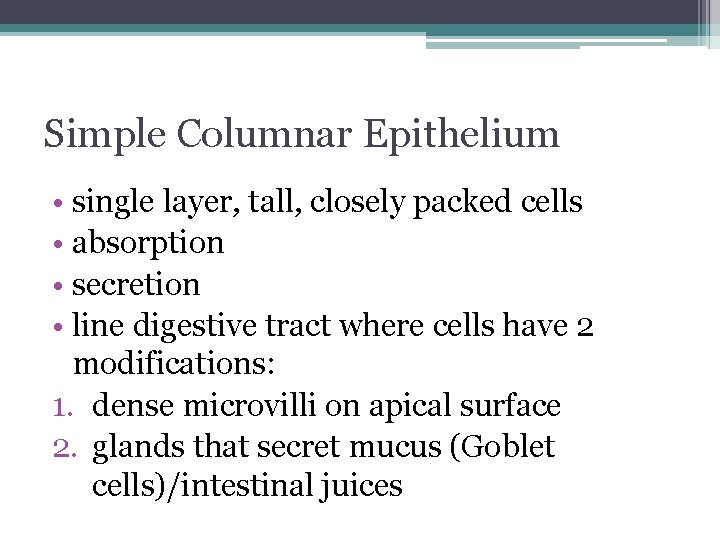Simple Columnar Epithelium • single layer, tall, closely packed cells • absorption • secretion