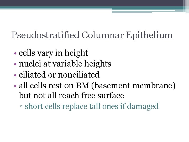 Pseudostratified Columnar Epithelium • cells vary in height • nuclei at variable heights •