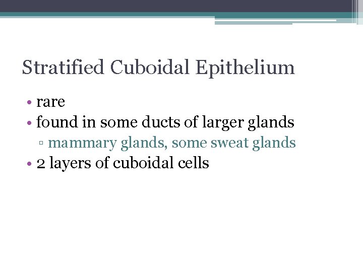 Stratified Cuboidal Epithelium • rare • found in some ducts of larger glands ▫