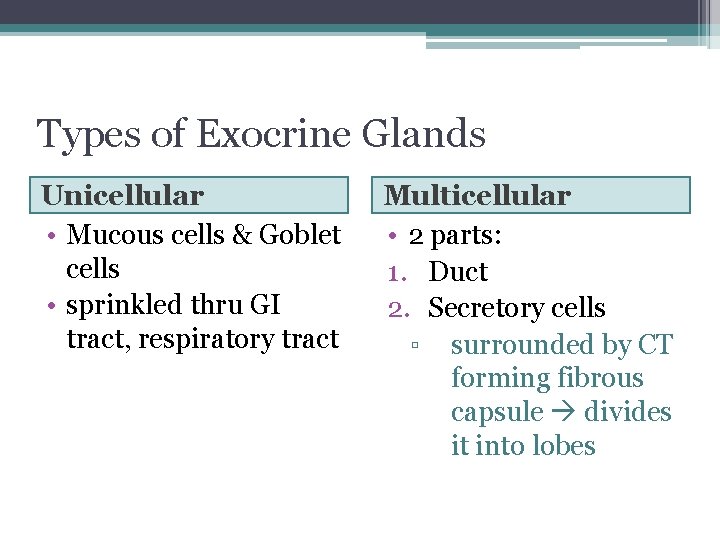 Types of Exocrine Glands Unicellular • Mucous cells & Goblet cells • sprinkled thru