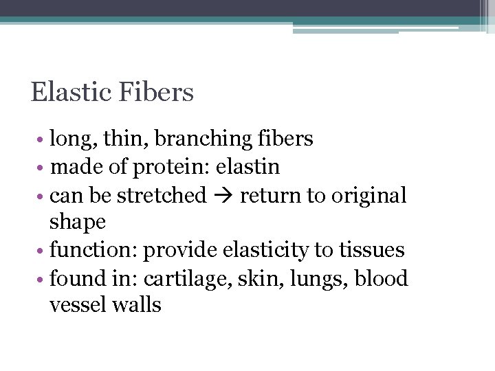 Elastic Fibers • long, thin, branching fibers • made of protein: elastin • can