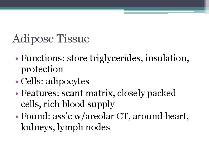 Adipose Tissue • Functions: store triglycerides, insulation, protection • Cells: adipocytes • Features: scant