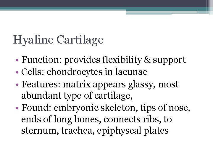 Hyaline Cartilage • Function: provides flexibility & support • Cells: chondrocytes in lacunae •