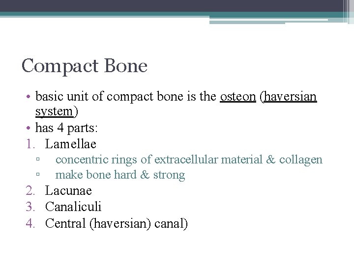 Compact Bone • basic unit of compact bone is the osteon (haversian system) •