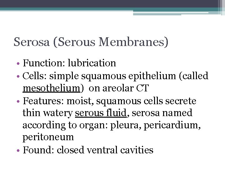 Serosa (Serous Membranes) • Function: lubrication • Cells: simple squamous epithelium (called mesothelium) on