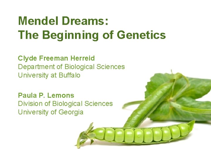 Mendel Dreams: The Beginning of Genetics Clyde Freeman Herreid Department of Biological Sciences University