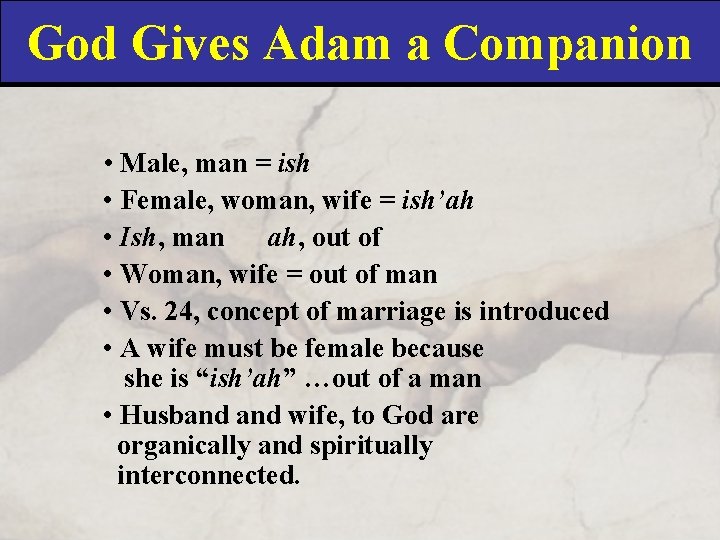 God Gives Adam a Companion • Male, man = ish • Female, woman, wife