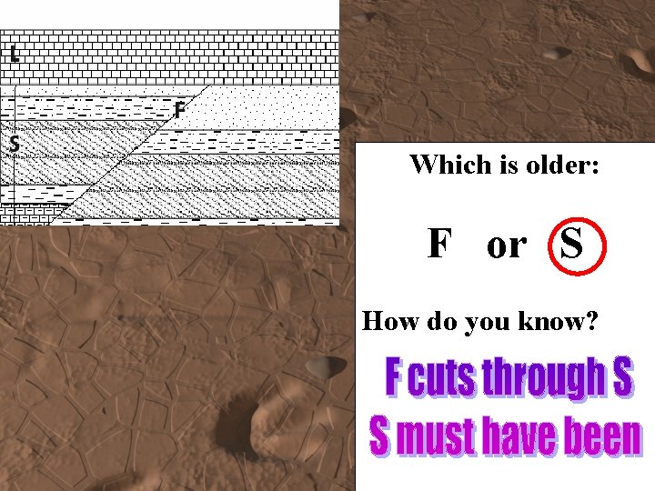 Which is older: F or S How do you know? 