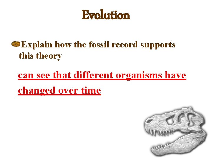 Evolution Explain how the fossil record supports this theory can see that different organisms