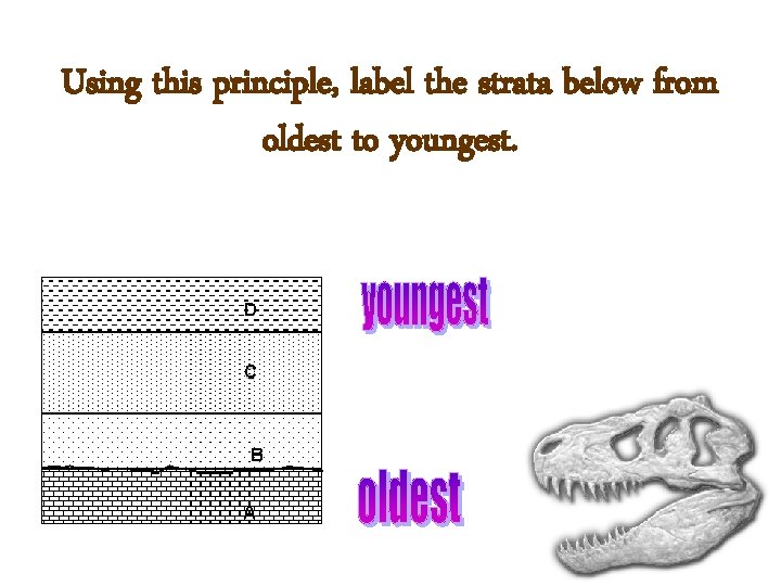Using this principle, label the strata below from oldest to youngest. 