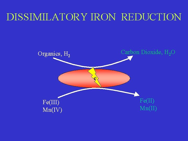 DISSIMILATORY IRON REDUCTION Carbon Dioxide, H 2 O Organics, H 2 e Fe(III) Mn(IV)