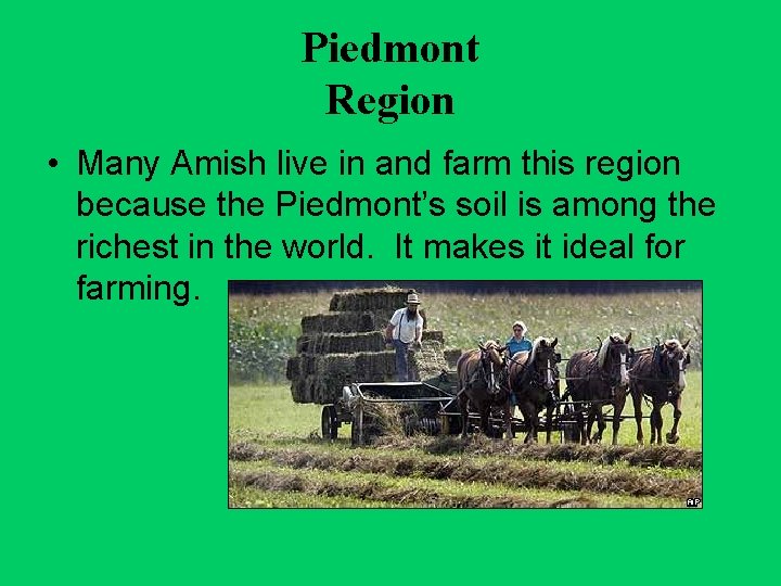 Piedmont Region • Many Amish live in and farm this region because the Piedmont’s