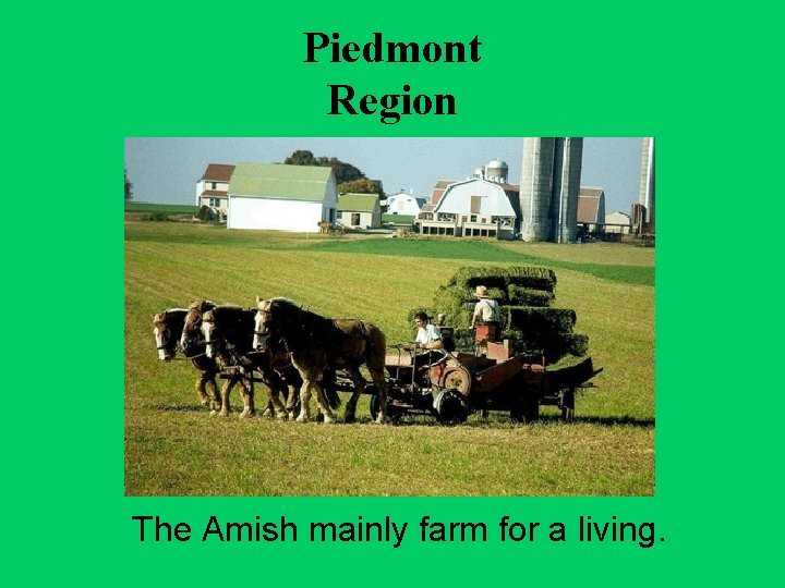 Piedmont Region The Amish mainly farm for a living. 