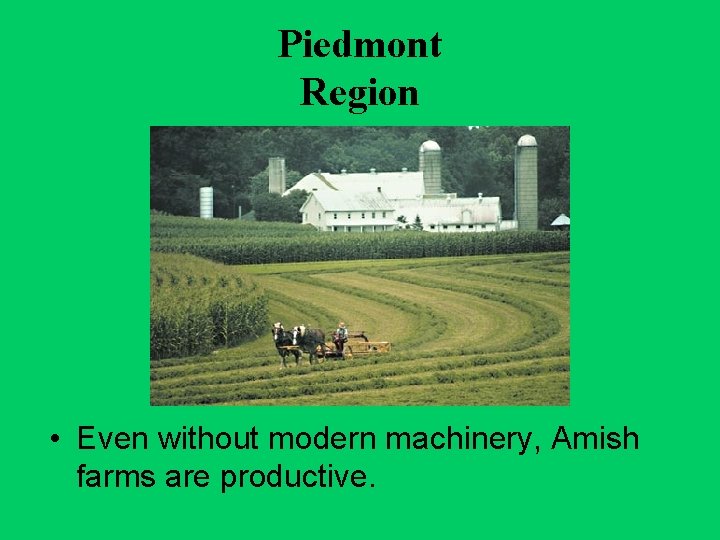 Piedmont Region • Even without modern machinery, Amish farms are productive. 