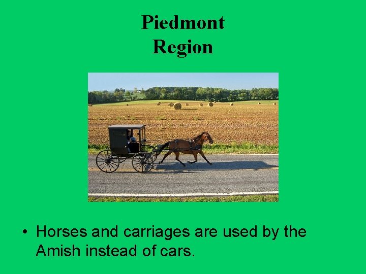Piedmont Region • Horses and carriages are used by the Amish instead of cars.