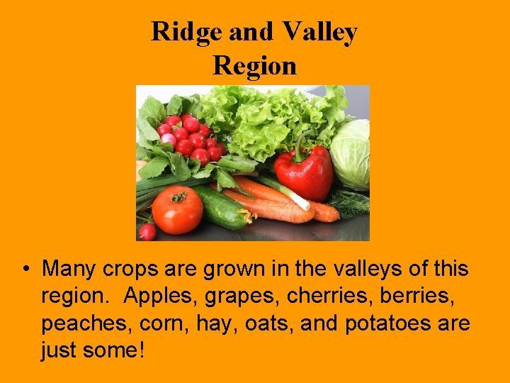 Ridge and Valley Region • Many crops are grown in the valleys of this