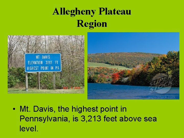 Allegheny Plateau Region • Mt. Davis, the highest point in Pennsylvania, is 3, 213