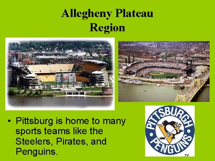 Allegheny Plateau Region • Pittsburg is home to many sports teams like the Steelers,