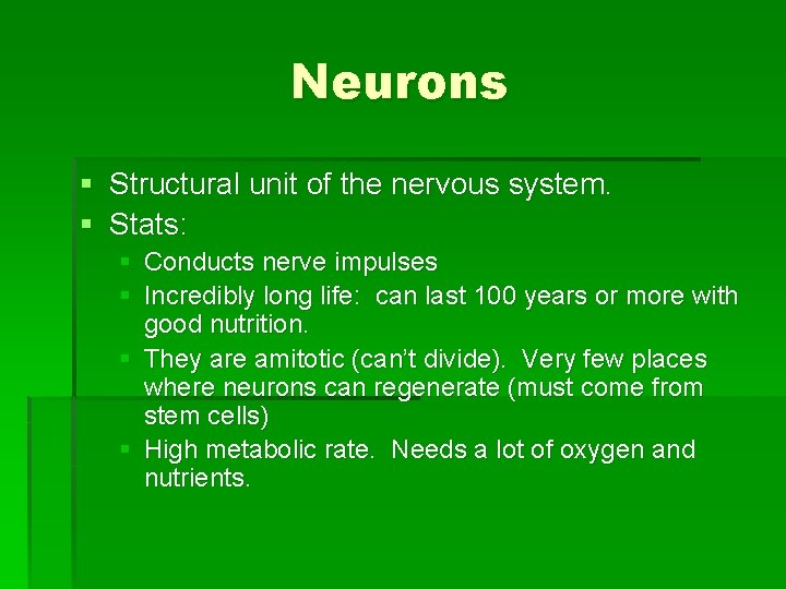 Neurons § Structural unit of the nervous system. § Stats: § § Conducts nerve