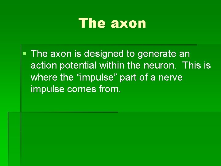 The axon § The axon is designed to generate an action potential within the