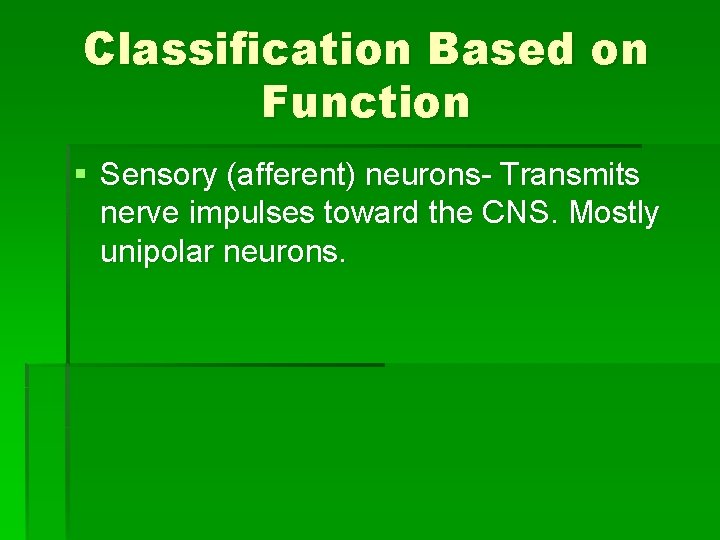 Classification Based on Function § Sensory (afferent) neurons- Transmits nerve impulses toward the CNS.