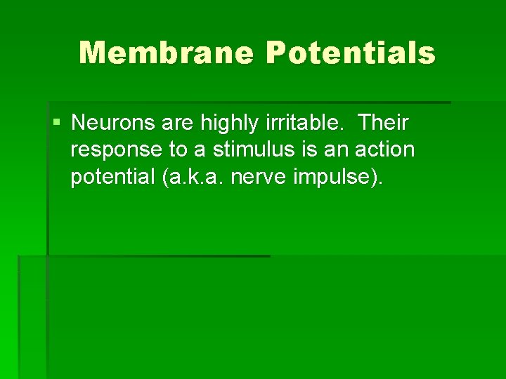 Membrane Potentials § Neurons are highly irritable. Their response to a stimulus is an