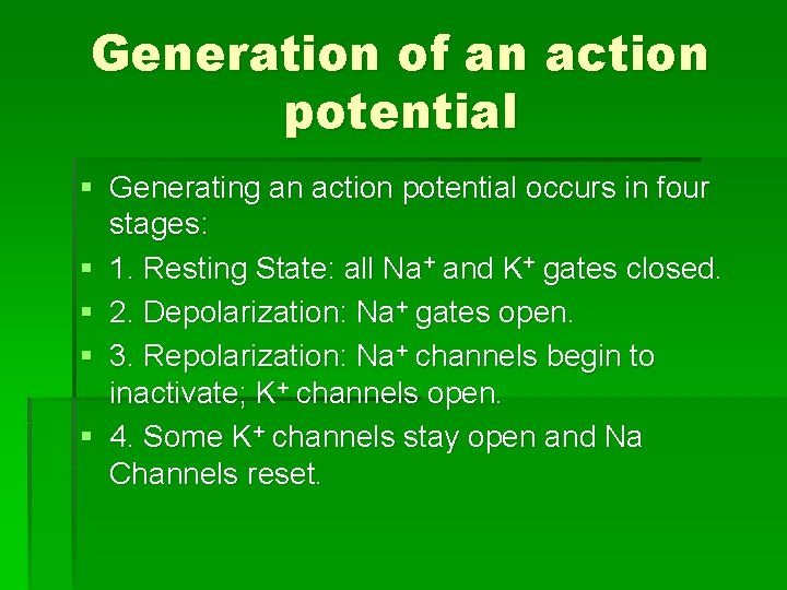 Generation of an action potential § Generating an action potential occurs in four stages: