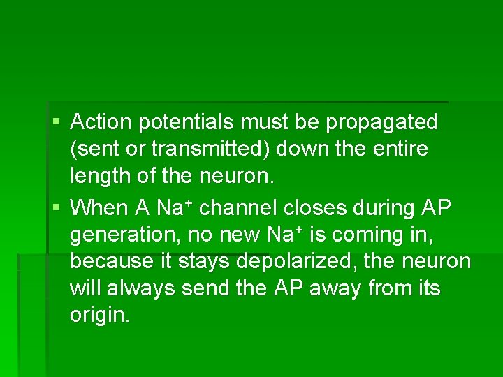 § Action potentials must be propagated (sent or transmitted) down the entire length of