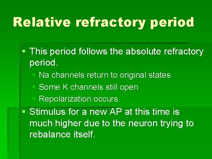 Relative refractory period § This period follows the absolute refractory period. § Na channels