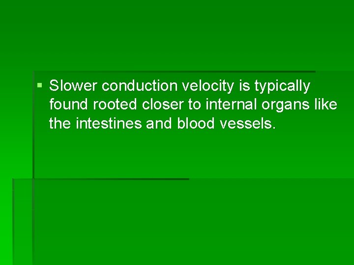 § Slower conduction velocity is typically found rooted closer to internal organs like the