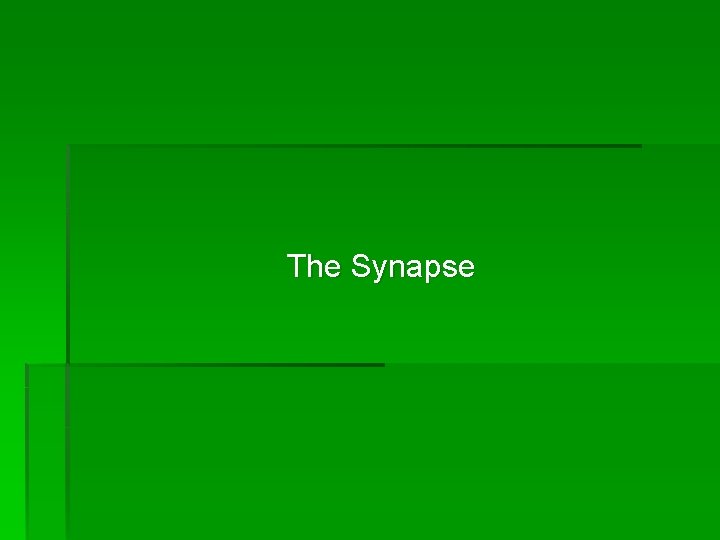 The Synapse 