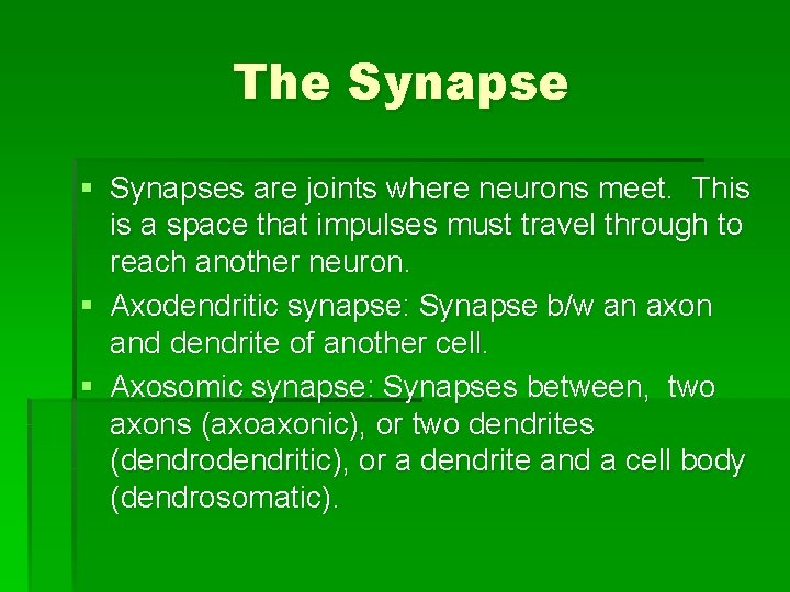 The Synapse § Synapses are joints where neurons meet. This is a space that
