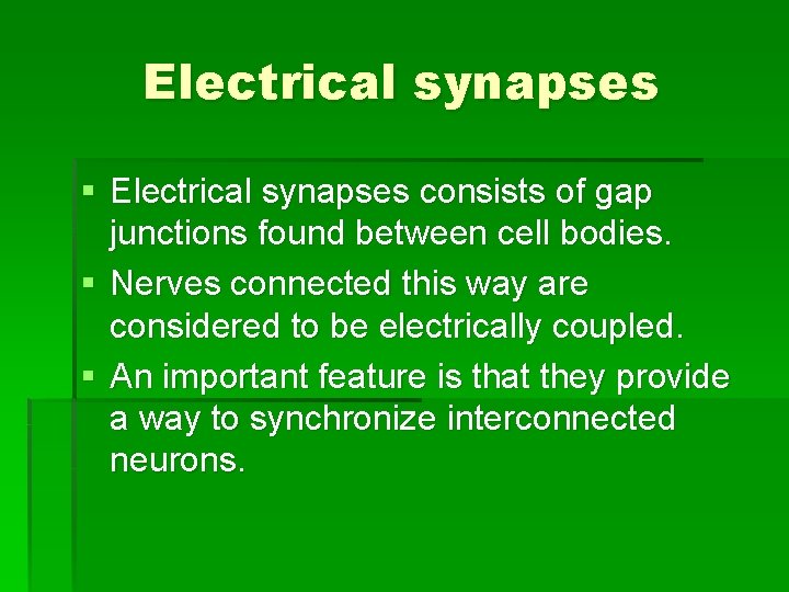 Electrical synapses § Electrical synapses consists of gap junctions found between cell bodies. §