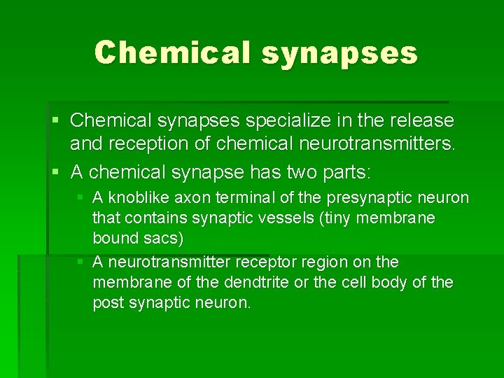 Chemical synapses § Chemical synapses specialize in the release and reception of chemical neurotransmitters.