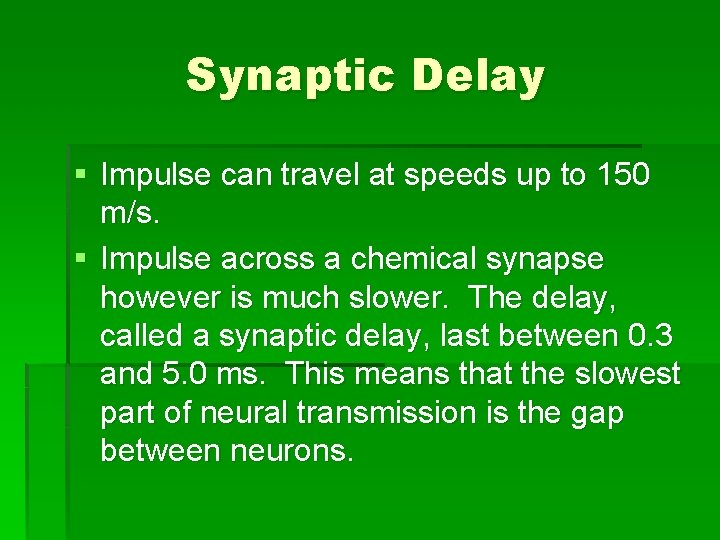 Synaptic Delay § Impulse can travel at speeds up to 150 m/s. § Impulse