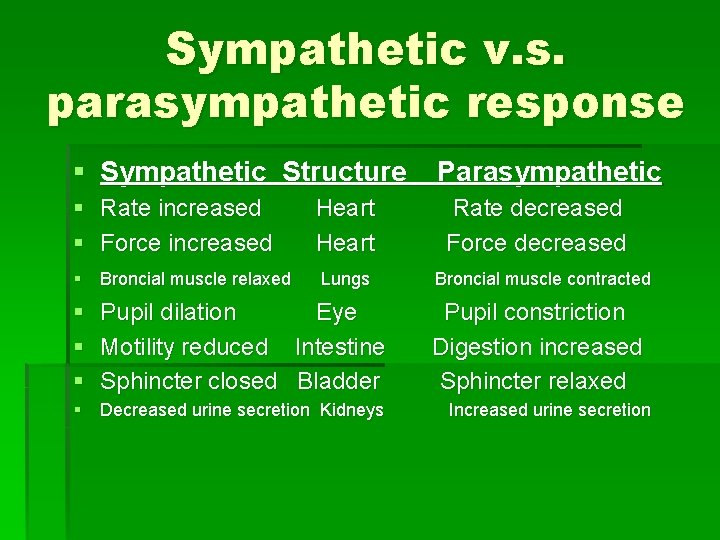 Sympathetic v. s. parasympathetic response § Sympathetic Structure § Rate increased § Force increased