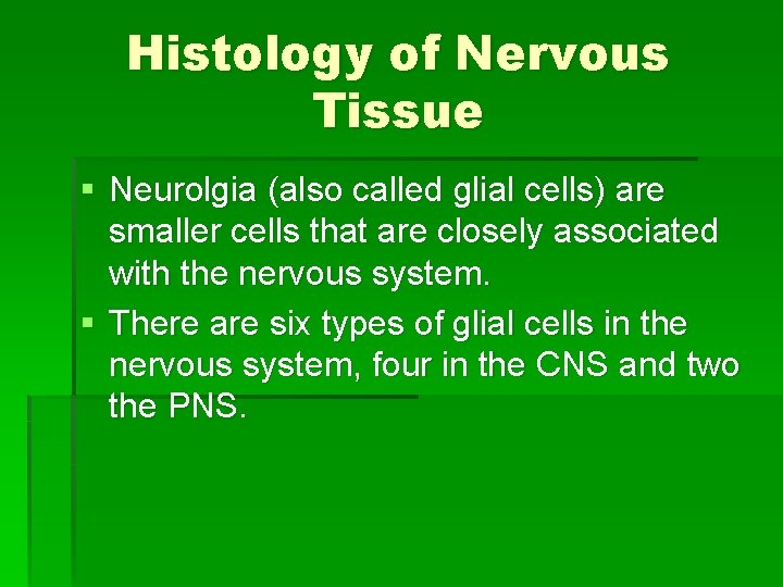 Histology of Nervous Tissue § Neurolgia (also called glial cells) are smaller cells that