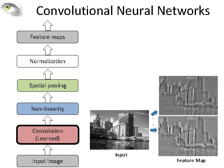 Convolutional Neural Networks Feature maps Normalization Spatial pooling Non-linearity. . . Convolution (Learned) Input