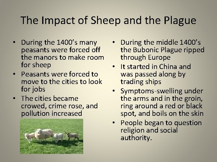 The Impact of Sheep and the Plague • During the 1400’s many peasants were