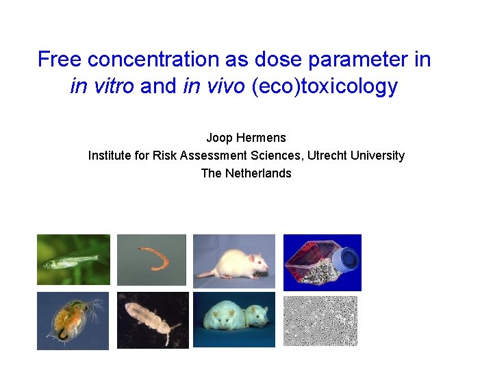 Free concentration as dose parameter in in vitro and in vivo (eco)toxicology Joop Hermens