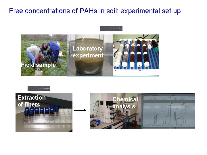 Free concentrations of PAHs in soil: experimental set up Field sample Extraction of fibers