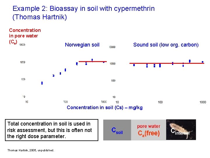 Example 2: Bioassay in soil with cypermethrin (Thomas Hartnik) Concentration in pore water (Ca)