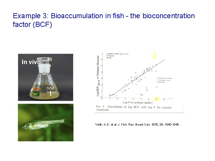 Example 3: Bioaccumulation in fish - the bioconcentration factor (BCF) In vivo Veith, G.