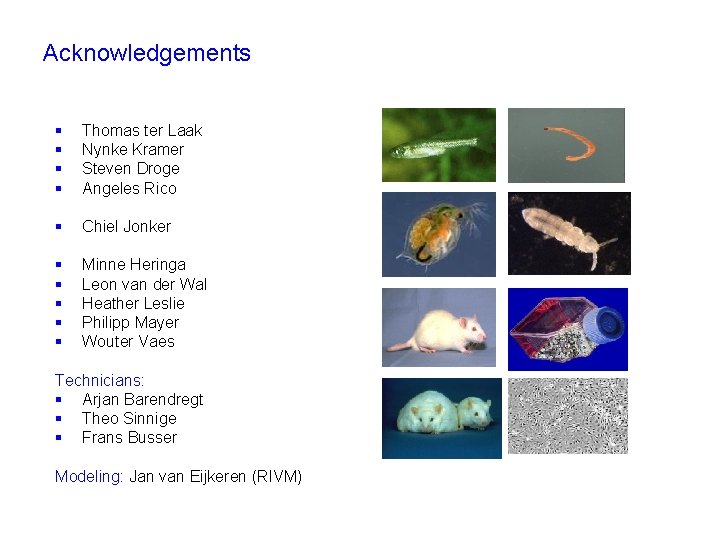 Acknowledgements § § Thomas ter Laak Nynke Kramer Steven Droge Angeles Rico § Chiel