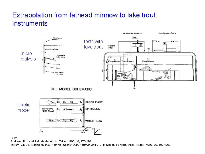 Extrapolation from fathead minnow to lake trout: instruments tests with lake trout micro dialysis