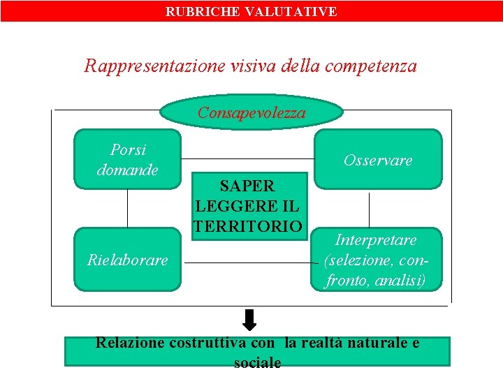RUBRICHE VALUTATIVE Rappresentazione visiva della competenza Consapevolezza Porsi domande Rielaborare Osservare SAPER LEGGERE IL RUBRICHE VALUTATIVE Rappresentazione visiva della competenza Consapevolezza Porsi domande Rielaborare Osservare SAPER LEGGERE IL
