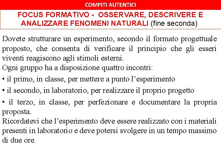 COMPITI AUTENTICI FOCUS FORMATIVO - OSSERVARE, DESCRIVERE E ANALIZZARE FENOMENI NATURALI (fine seconda) Dovete COMPITI AUTENTICI FOCUS FORMATIVO - OSSERVARE, DESCRIVERE E ANALIZZARE FENOMENI NATURALI (fine seconda) Dovete