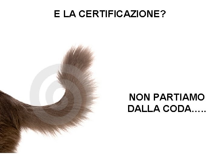 E LA CERTIFICAZIONE? NON PARTIAMO DALLA CODA…. . E LA CERTIFICAZIONE? NON PARTIAMO DALLA CODA…. .